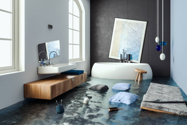 Best Flooded house restoration  in Long Grove, IA