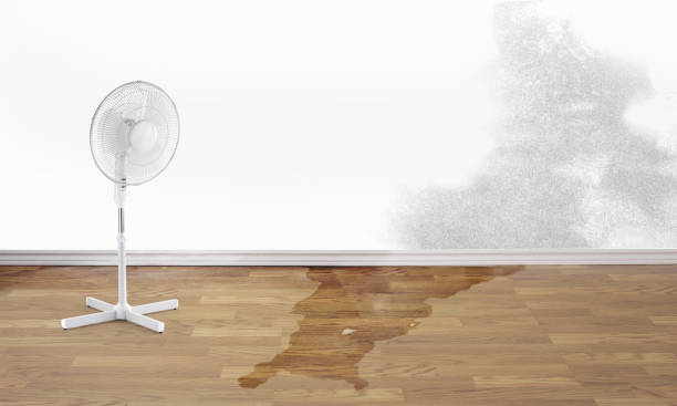 Trusted Long Grove, IA Water damage restoration Experts