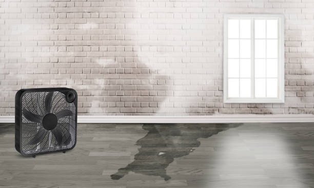 Best Fire Damage Restoration  in Long Grove, IA
