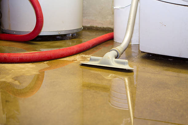 Best Water damage restoration near me  in Long Grove, IA
