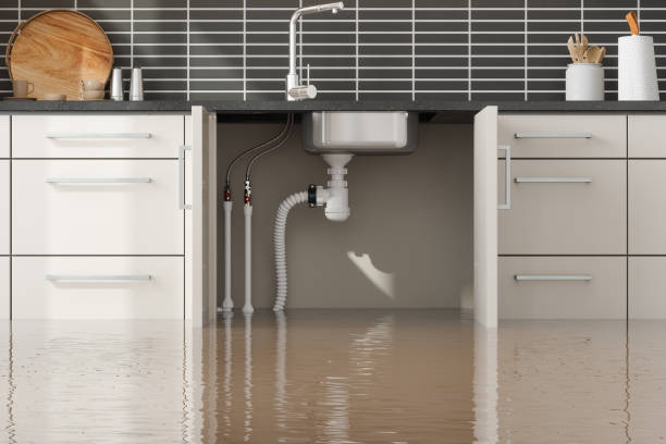  Long Grove, IA Water damage restoration Pros